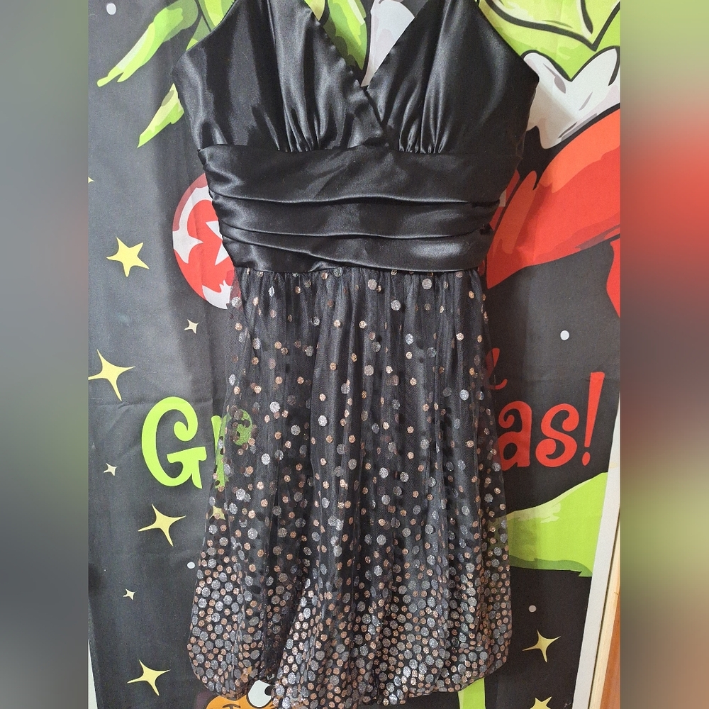 Size XL Elegant Black with Gold And Silver Sequin Women's Dress New W Tags